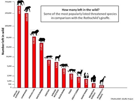 stats animal graph endangered animals many left there wild elephants